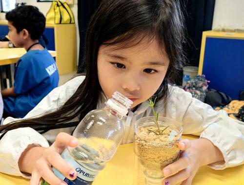 A child carefully watering a seedling she has planted.